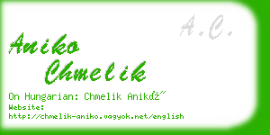 aniko chmelik business card